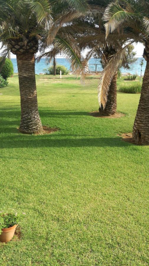 Haizea En * Dénia