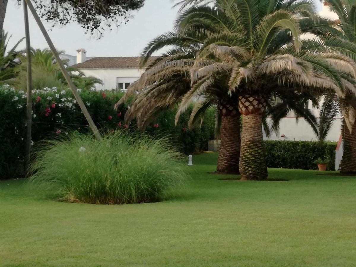 Haizea En Dénia